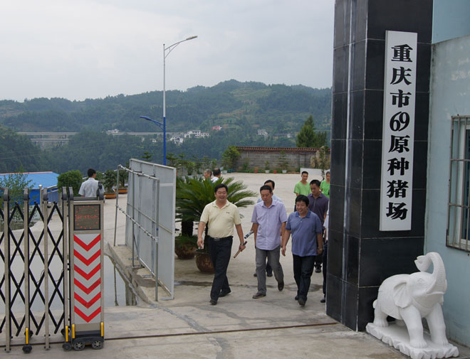 國家鄉(xiāng)村振興局副局長、原黔江區(qū)委書記洪天云視察重慶69