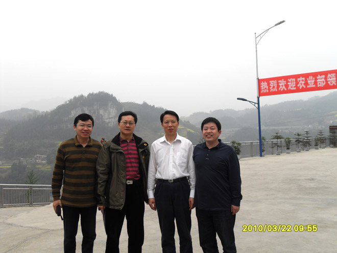 農(nóng)業(yè)農(nóng)村部張?zhí)熳艨値煛㈥愓氯鹃L到重慶69指導(dǎo)工作