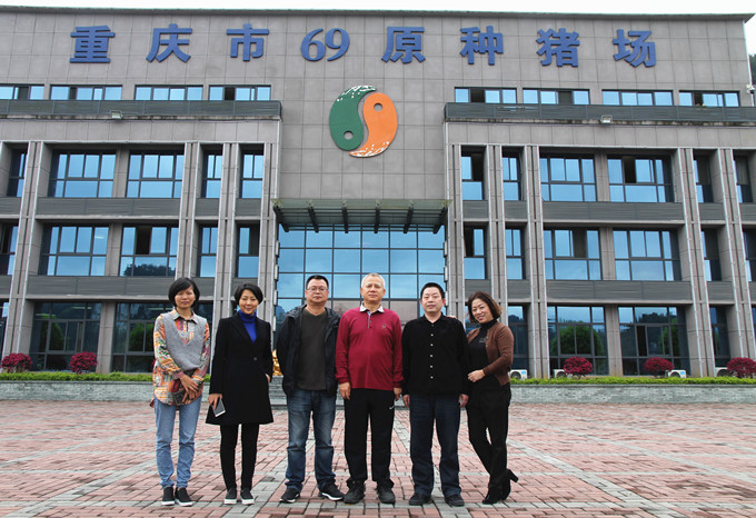 國家生豬產(chǎn)業(yè)技術(shù)體系首席科學(xué)家陳瑤生教授、壹號(hào)土豬總裁黎小兵蒞臨69指導(dǎo)交流
